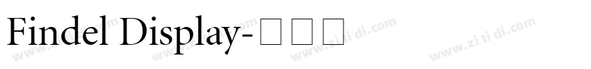Findel Display字体转换